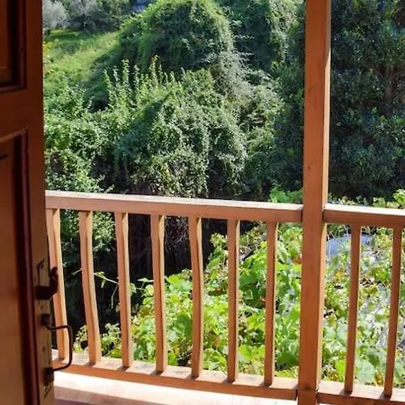 In A Summer House Close To The Sea *